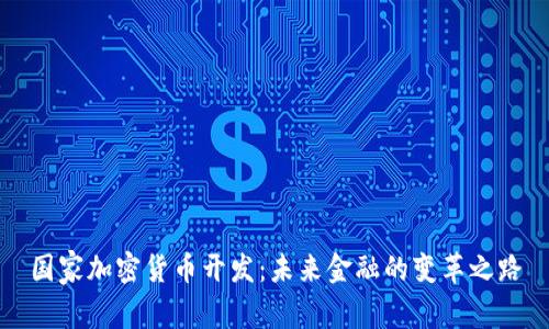 国家加密货币开发：未来金融的变革之路