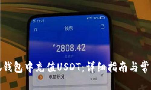 如何在小狐钱包中充值USDT：详细指南与常见问题解答
