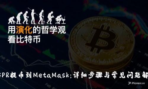 CSPR提币到MetaMask：详细步骤与常见问题解析