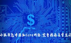 如何在小狐钱包中添加C