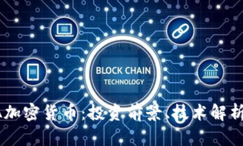 全面解析BA加密货币：投资前景、技术解析与市场动态