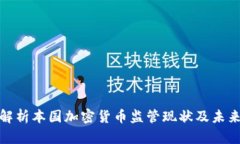 全面解析本国加密货币监