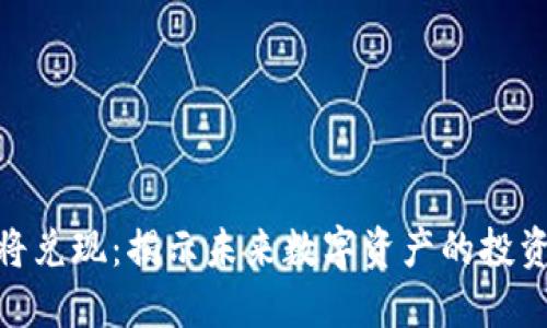 加密货币即将兑现：揭示未来数字资产的投资机会与风险