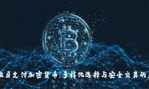 西班牙支付加密货币：多样化选择与安全交易的未来
