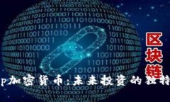 深度解析Tstamp加密货币：