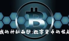 揭开加密领域的神秘面纱