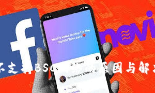 小狐钱包不支持BSC网络的原因与解决方案解析