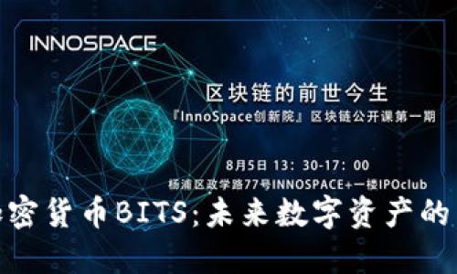 探索加密货币BITS：未来数字资产的新选择