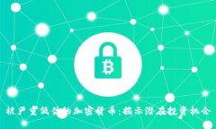 被严重低估的加密货币：