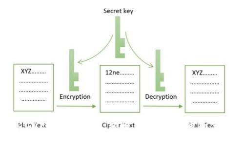 探索Cart加密货币：颠覆传统金融的新生力量