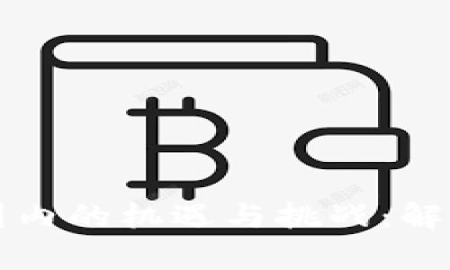 加密货币在国内的机遇与挑战：解析其受益潜力