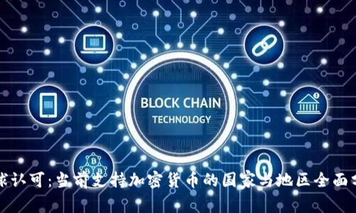 全球认可：当前支持加密货币的国家与地区全面分析