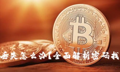 MetaMask密码丢失怎么办？全面解析密码找回的途径与建议