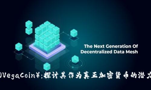 维卡币（VegaCoin）：探讨其作为真正加密货币的潜力与挑战