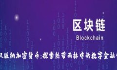 西双版纳加密货币：探索