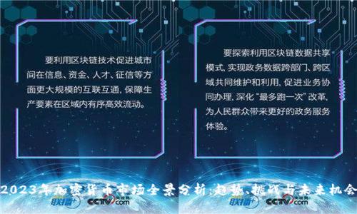 2023年加密货币市场全景分析：趋势、挑战与未来机会