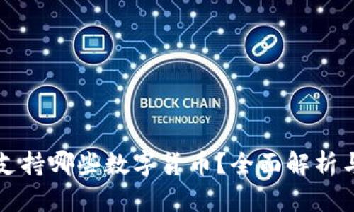 小狐钱包支持哪些数字货币？全面解析与使用指南