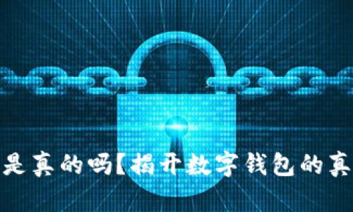 小狐钱包是真的吗？揭开数字钱包的真相与风险