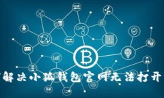 : 如何解决小狐钱包官网无