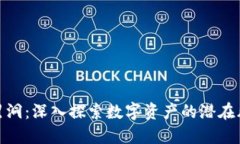 加密货币黑洞：深入探索