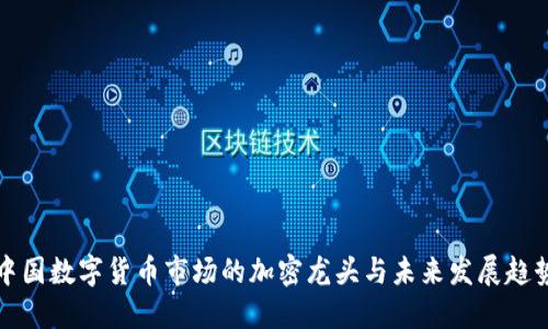 中国数字货币市场的加密龙头与未来发展趋势