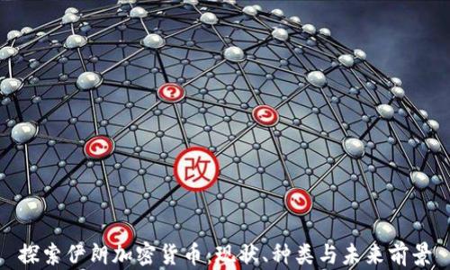 
探索伊朗加密货币：现状、种类与未来前景