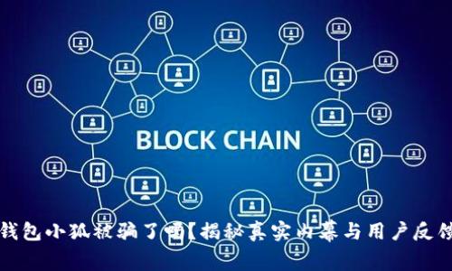 钱包小狐被骗了吗？揭秘真实内幕与用户反馈