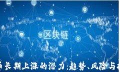 加密货币长期上涨的潜力