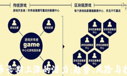 
加密货币长期上涨的潜力：趋势、风险与投资策略