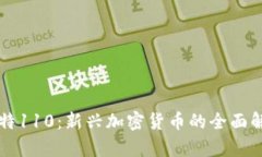 比特110：新兴加密货币的