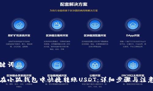 与关键词

如何在小狐钱包中快捷转账USDT：详细步骤与注意事项