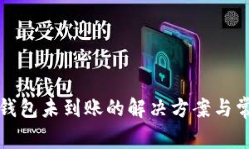 提现到小狐钱包未到账的解决方案与常见问题解答