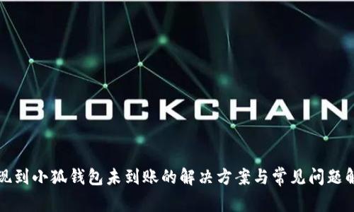 提现到小狐钱包未到账的解决方案与常见问题解答
