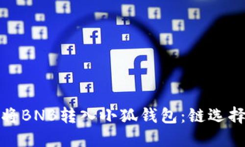 如何将BNB转入小狐钱包：链选择详解