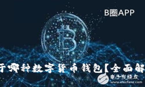  小狐钱包属于哪种数字货币钱包？全面解析与使用指南