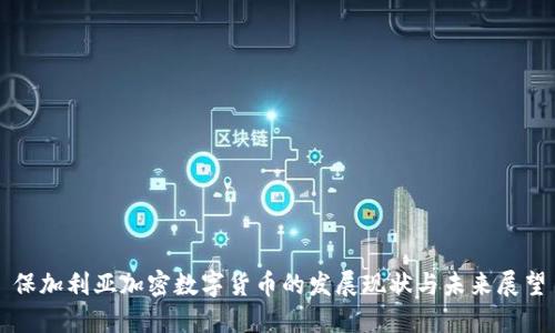 保加利亚加密数字货币的发展现状与未来展望