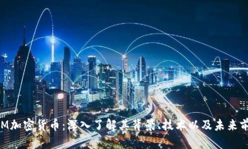 DOM加密货币：深入了解其背景、技术以及未来前景