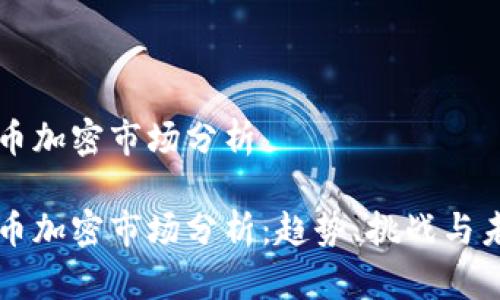 全球货币加密市场分析

全球货币加密市场分析：趋势、挑战与未来展望