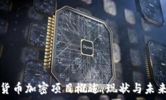   中国货币加密项目概述：