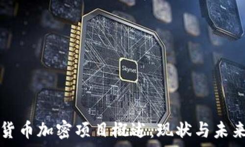   
中国货币加密项目概述：现状与未来展望