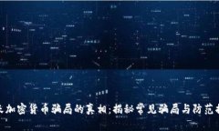 冬天加密货币骗局的真相