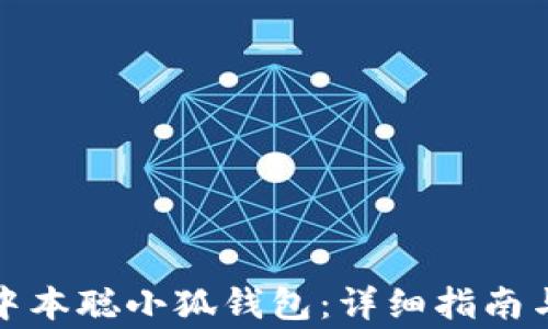 
如何正确安装中本聪小狐钱包：详细指南与常见问题解答