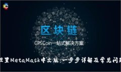 如何设置MetaMask中文版：一步步详解及常见问题解