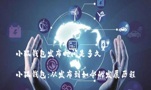 小狐钱包发布时间是多久

小狐钱包：从发布到如今的发展历程