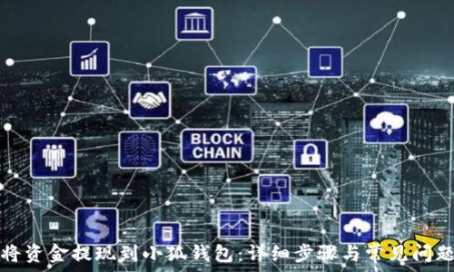   
如何将资金提现到小狐钱包：详细步骤与常见问题解答