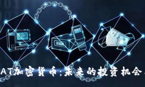:
全面解析DAT加密货币：未来的投资机会与风险分析
