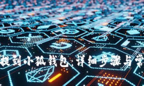 如何将BNB提到小狐钱包：详细步骤与常见问题解析