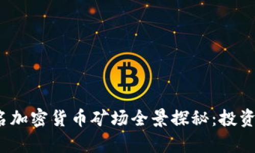 2023年海外知名加密货币矿场全景探秘：投资机会与挑战分析