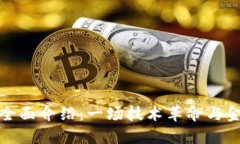 加密数字货币的全面介绍：一场技术革命与金融