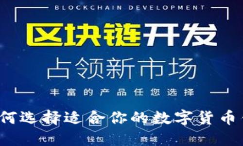 星鲨小狐钱包：如何选择适合你的数字货币钱包并确保安全性